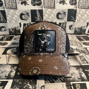 Goorin Bros Bring The Ruckus Bull "Raging" Paisley Hat NWT